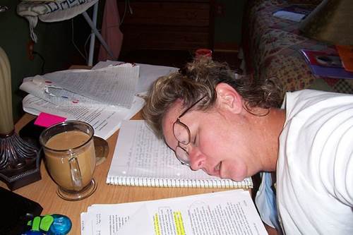 Tired Woman Goes to Sleep While Studying Hard