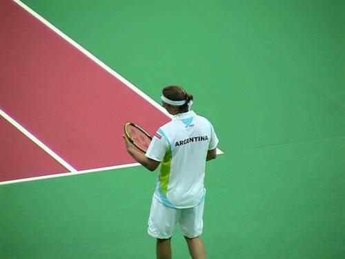 David Nalbadian - Tennis Player